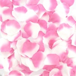 SexShop - LoversPremium Bed of Roses  - Płatki róż różowe - online
