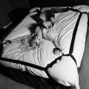 Sexshop - Pornhub 8 Point Underbed Kit   - Zestaw pasów do rozpinania na łóżku - online
